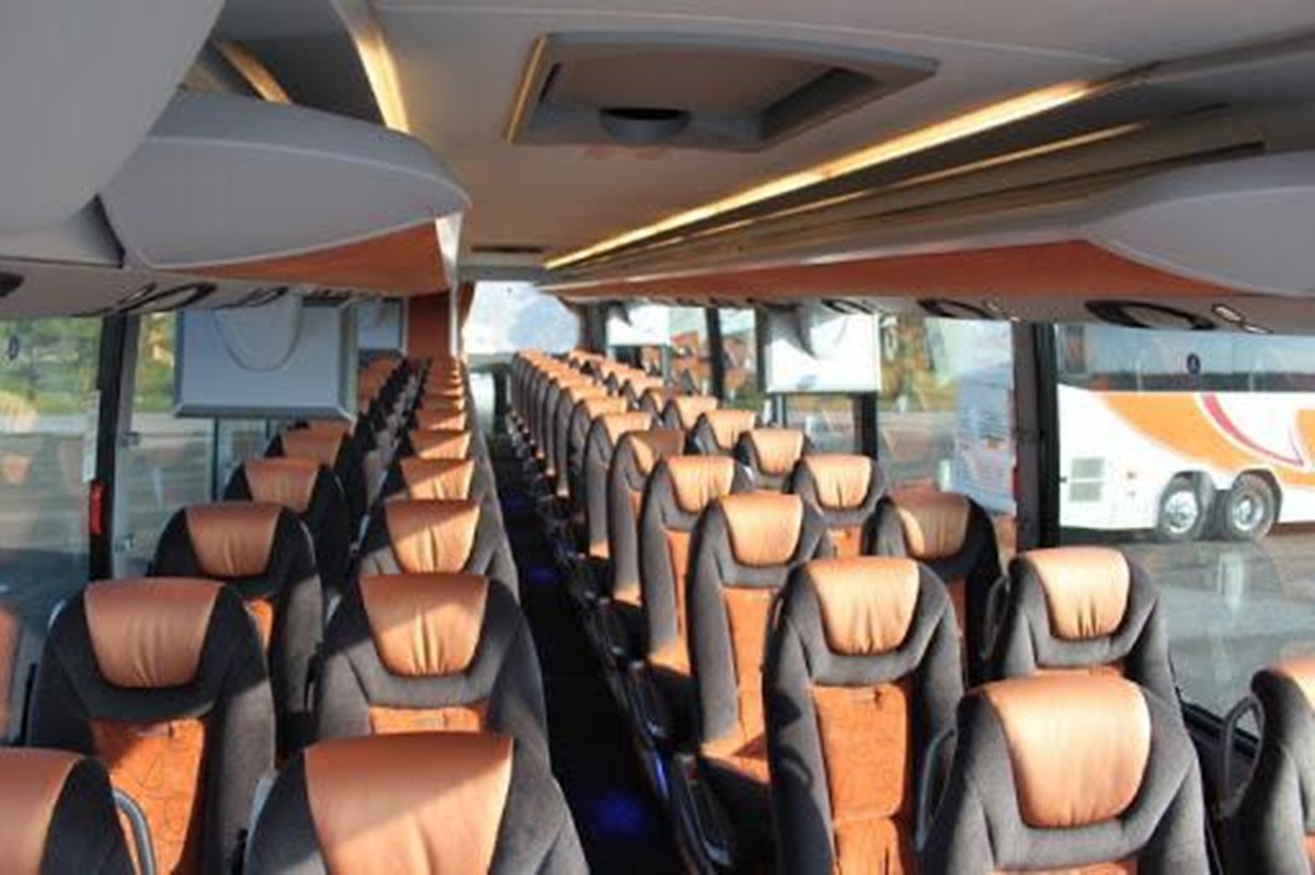 55 Passenger Bus 